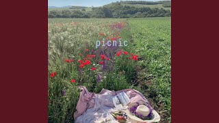 picnic