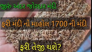 જીરું અંદર. ફરી મંદી નો માહોલ શું તેજી થશે// jiru ander jordar Mandi have teji kayare