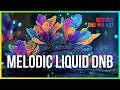 Melodic Liquid Drum and Bass - Serenity Sessions #27 | Deep & Nostalgic | LiquidHour DnB
