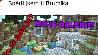 UKAZUJU mojí galerii v mobilu | moje galerie v mobilu #1