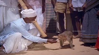 Intelligent Monkey Catches Pickpocketer in Circus | Sumalatha | Thayiya Hone Kannada Movie Scene