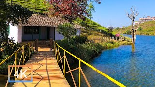 Vagamon Tea Lake, Kerala | India Walking Tour