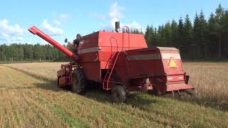 Massey Ferguson 206 / Ohran puintia !