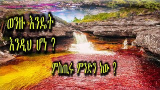 ከገነት እንደሚወጣ የሚነገርለት አስደናቂው የቀስተ ደመና ወንዝ