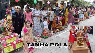 Tanha pola || Nagpur ka sabse bada tanha pola 2024|| Nagpur tanha pola festival Jaitala || Nagpur 😱😱