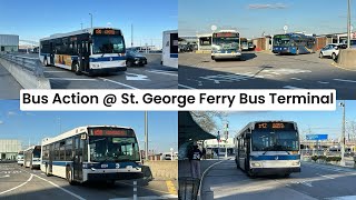 MTA NYCT: Bus Action @ St. George Ferry Bus Terminal