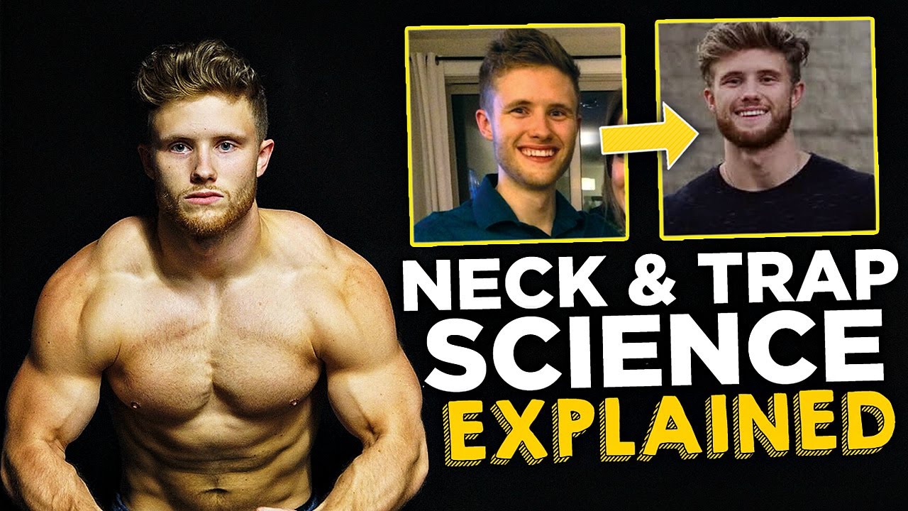 Underrated Ideas Of Info About How To Develop Neck Muscles ...