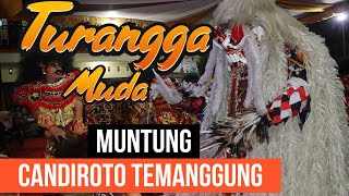 Seni tari kuda lumping indonesia | Jaranan Turonggo Mudho Desa Muntung Candiroto temanggung