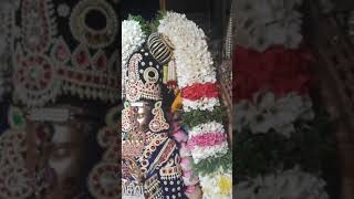 அருள்மிகு சிவகாமி