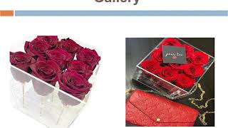 Real preserved roses wholesale