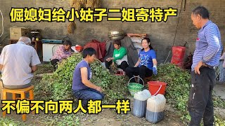 花生大丰收！倔媳妇给小姑子寄特产，不忘给二姐捎一份【倔媳妇】