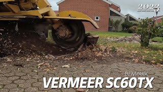 Vermeer SC60TX Small Stump Grinding