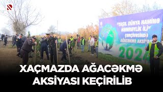 Xaçmazda ağacəkmə aksiyası keçirilib - Aksiya YAP-ın yaranmasının 32-ci ildönümünə həsr edilib