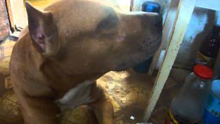 M4H04292.MP4