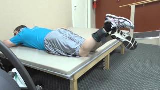 prone eccentric hamstring with resistance