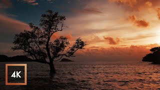 10 Hours, Ocean Sounds for Sleep and Study in Koh Chang Island, Sunset to Sunrise ASMR
