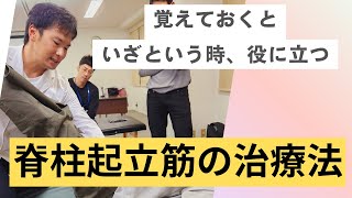 【知らないと損する】脊柱起立筋の治療法