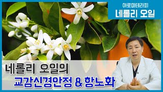 아로마 테라피 네롤리(Neroli) 오일의 교감신경안정, 항노화 작용