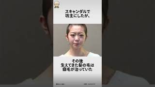 峯岸みなみに関する面白い雑学 #雑学おじい金田一  #雑学