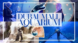 DUBAI AQUARIUM AND UNDERWATER ZOO ♥ The Ultimate Experience Pass | Dubai Travel Guide \u0026 Cost