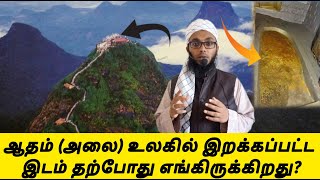 ஆதம் (அலை) உலகில் இறக்கப்பட்ட இடம் | Arham Usmani Umari