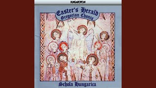 VII. a) Alleluja. Resurrexit - Alleluja. Pascha nostrum - Alleluja. Exsurge gloria (Antiphons)