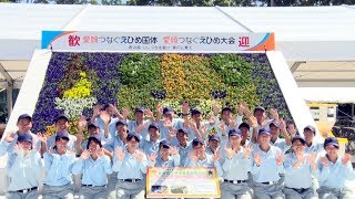 みきゃん広場にデザイン花壇　国体客迎える・愛媛新聞