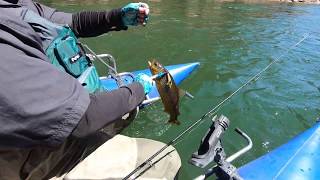 Snagging a fish in the back - Green River Pontoon Fishing