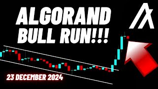 Algorand (ALGO) Crypto Coin Bull Run!!!