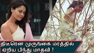 திடீரென முருங்கை மரத்தில் ஏறிய பிந்து மாதவி ! FLIXWOOD