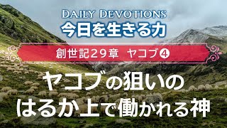 《創世記29章 ヤコブ④》ヤコブの狙いのはるか上で働かれる神【今日を生きる力】