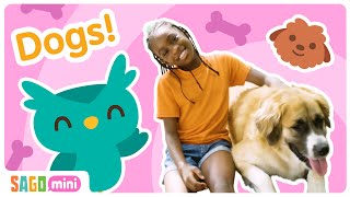 How Do You Take Care of a DOG 🐩💕 | Circle Time for Kids | Sago Mini Social \u0026 Emotional Learning