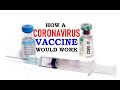 How A Coronavirus Vaccine Would Work (by Abazar Habibinia, MD, Director of The CAASN):