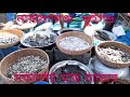 নারায়ণগঞ্জ ভূইগড় মাছের বাজার narayanganj bhuigar fish market