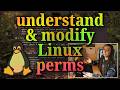 the absolute basics of file permissions (chmod and octals) you need to know