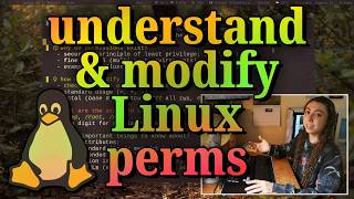 the absolute basics of file permissions (chmod and octals) you need to know