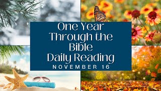 11/16  Daily Bible Reading 365 Days:  Ez 23:1-24:27 • Ps 127:1-5 • Pr 28:24 • Heb 11:1-12