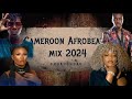 Cameroon Afrobeats Video Mix 2024