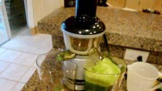 Omega VRT 350 HD Juicer Review