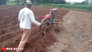 Bajak lahan singkong dengan joki traktor om parman