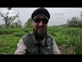 englands only wild rainbow trout species hunt episode 24