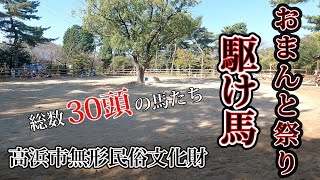 高浜市無形文化財【おまんと祭り】総30頭すべて撮影しました🎵#おまんと祭り#駆け馬#高浜市