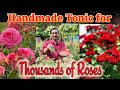 This Handmade Tonic will bring Thousands of Flowers in Your Rose plants