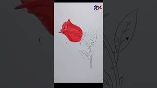Rose drawing 🌹 with colour full drawing || kids drawing art #shorts #rose