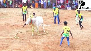 இறுதிவரை அனல்பறந்த ஆட்டம்! இடையபட்டி சேகர் காளை Vs காடனேரி ஸ்ரீ புல்வநாயகிஅம்மன் குழு | PK Media