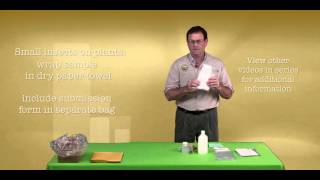 Sample Submission Entomology