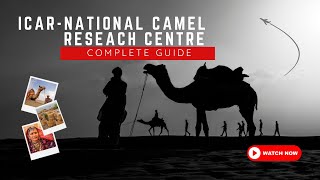 Bikaner Rajasthan, Camel Research Centre #rajasthan #bikaner #camel #rajasthani #travel #trending