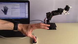 Robotic arm with gesture control