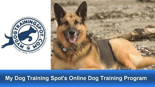 Online Dog Training Course