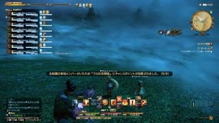 FF14　Mariaの本日の討伐戦～真ガルーダ～